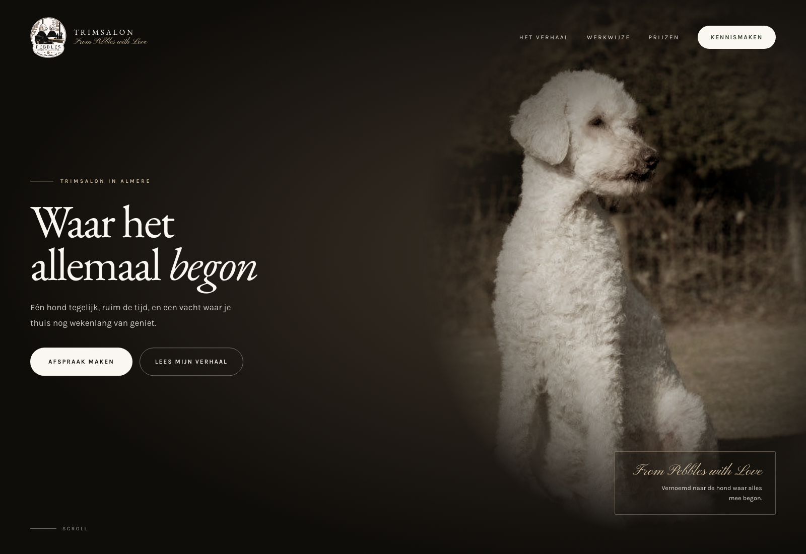 From Pebbles with Love: website voor een hondentrimsalon in Almere
